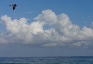 julias_trends_meer2
